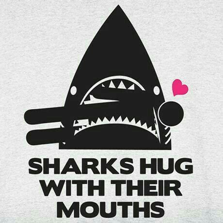 Pin by Nathália Araujo on Tubarões Shark Shark week Shark week party