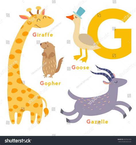 G Letter Animals Set English Alphabet Vector Illustration Isolated