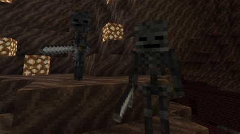 Wither Skeletons Indolaw Minecraft Fanon Wiki Fandom