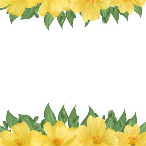 Apricot Blossom Yellow PNG Transparent Yellow Apricot Blossom Flower