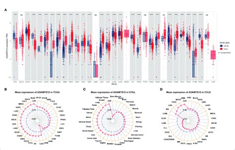 Expression Of Adamts A Pan Cancer Expression Of Adamts B