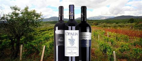 Tintilia Del Molise Local Wine Appellation From Molise Italy
