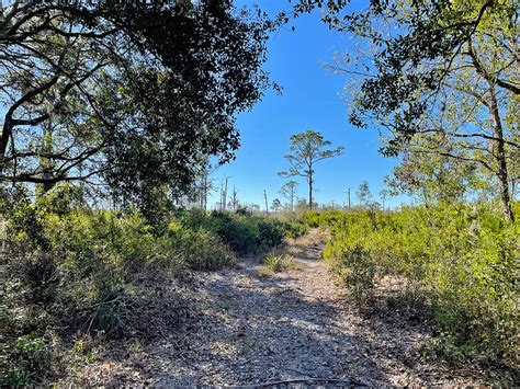 Jack Creek Tract Lake Wales Ridge Wea Florida Hikes