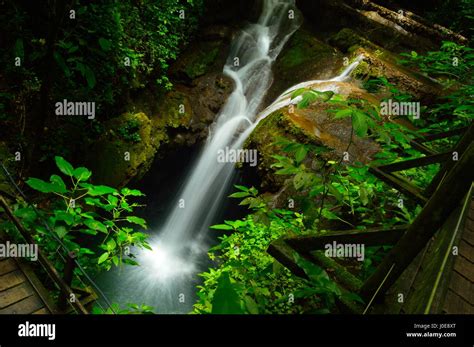 Buraco do macaco Fotos und Bildmaterial in hoher Auflösung Alamy