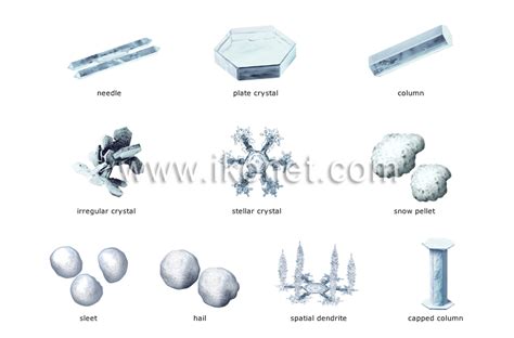 Earth > meteorology > precipitations > snow crystals image - Visual ...