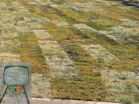 When To Mow A New Sod How Long Should You Wait Lawn Model