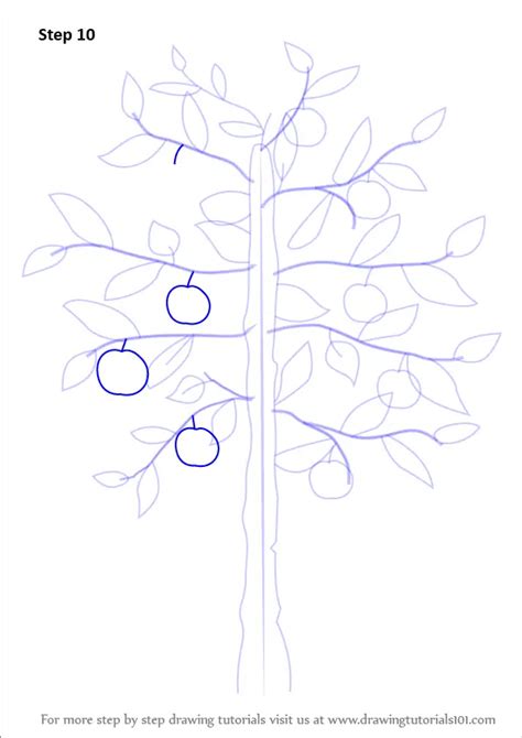 Learn How to Draw an Apple Tree (Trees) Step by Step : Drawing Tutorials