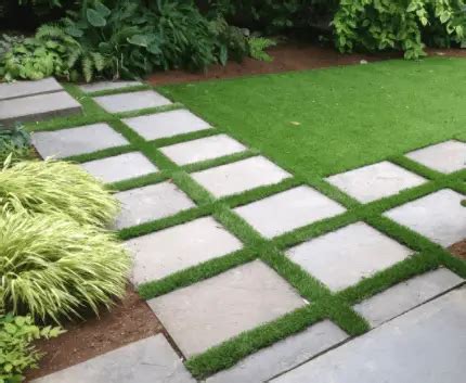 Can you Grow Grass between Pavers? - Patio Comfy