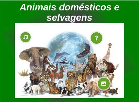 O Mundo Dos Animais