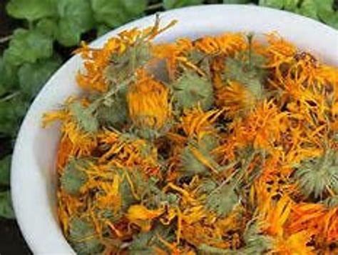 Calendula 1oz Dried Calendula Organic Dried Herbs Etsy