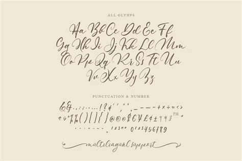 Moonshine Calligraphy Font Dfonts