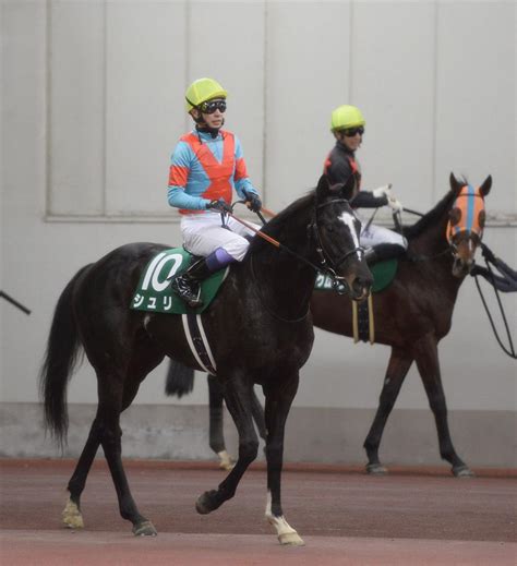 【スポ京都金杯】3連勝で重賞初v狙ったシュリは5着 武豊「あまりスタートは良くなかったですね」｜競馬ニュース｜競馬予想のウマニティ