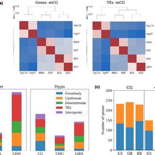 Differential Methylation Between Wild And Cultivated Rice Species A