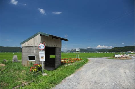 夏のバス停 : あの頃の夏を探して