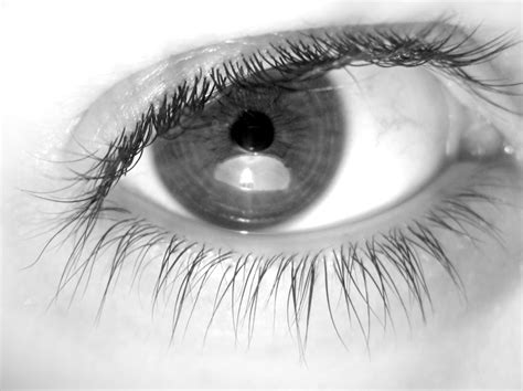 Imagenes De Ojos En Blanco Y Negro Consejos Ojos