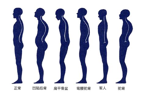 男生25岁想再长高5cm，关键看这里凤凰网