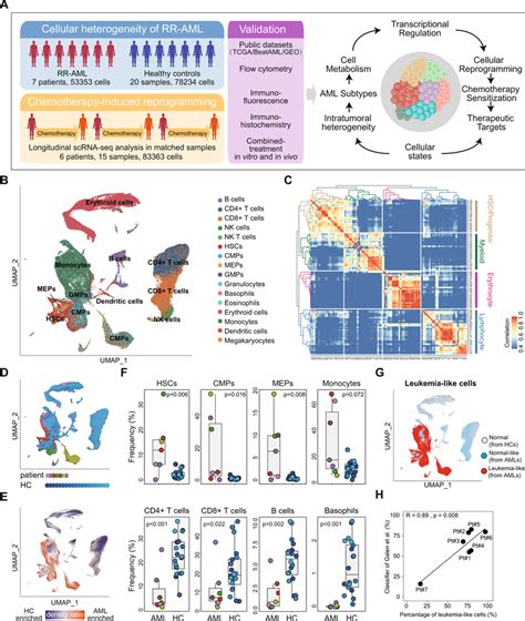 Integrated Scrna Seq Analysis Of Healthy And Rr Aml Bone Marrow Download Scientific Diagram