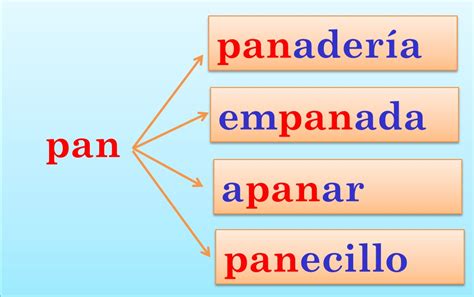 Ejemplos De Familia L Xica Qu Es Concepto Y Ejemplos