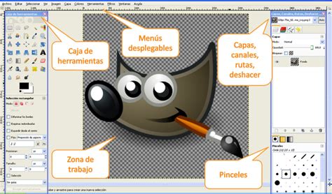 IIIB 5to G GIMP Ficha Interactiva TopWorksheets