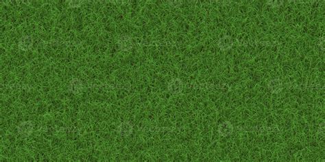 Lush Field Background Park Lawn Pattern Textured Meadow Backdrop