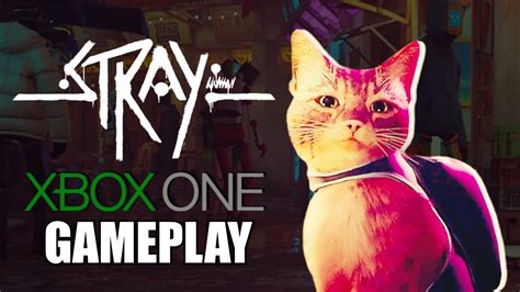 Stray Xbox One Gameplay - YouTube