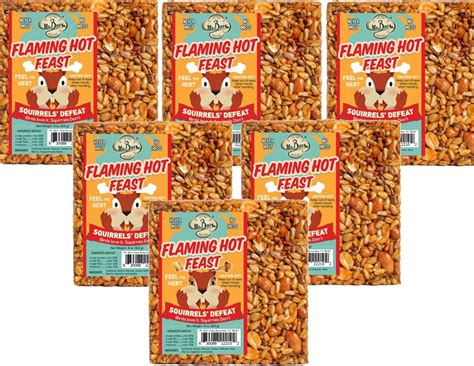 6 Pack Of Mr Bird Flaming Hot Feast H2FSDSmall Wild Bird Seed Cake 4 Oz Walmart