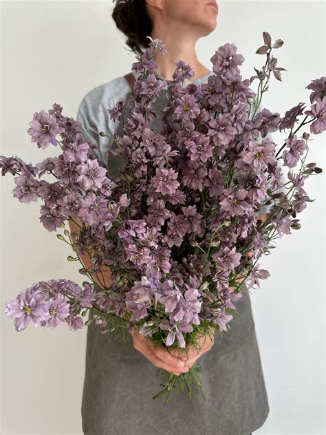 Дельфиниум однолетний Misty Lavander