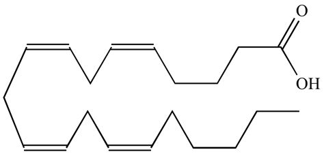 Saturated Fat Structure