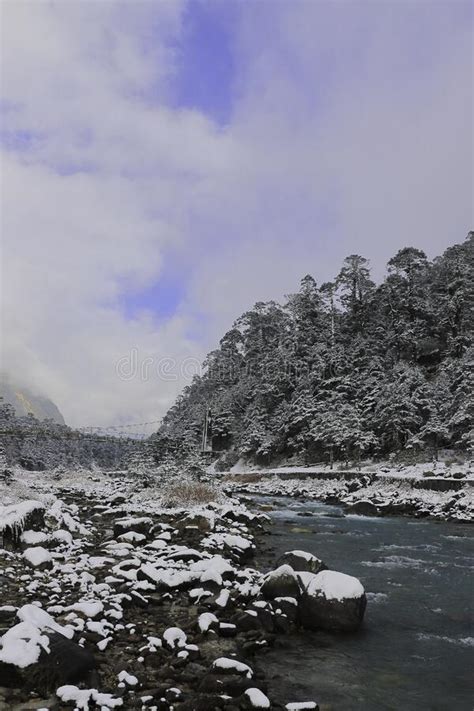 Beautiful Lachung River Flowing Through The Snow Covered Yumthang