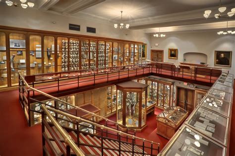 Skulls and Specimens: The Mütter Museum is Weird and Worth It – The Incubator