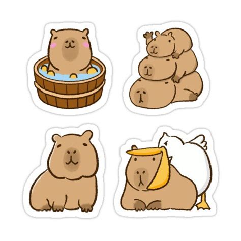 Capybara Stickers Pack Sticker For Sale By Picopang Capybara Cute