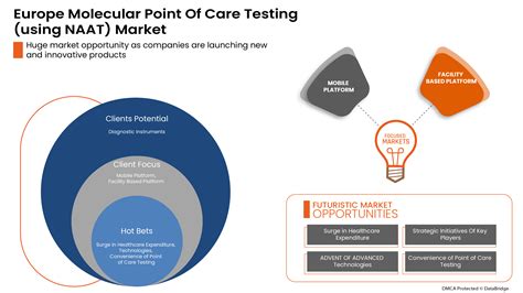 Europe Molecular Point Of Care Testing Using Naat Market Insights