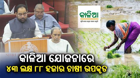 Odisha Interim Budget 43 Lakh 88 Thousand Farmers Benefited By KALIA