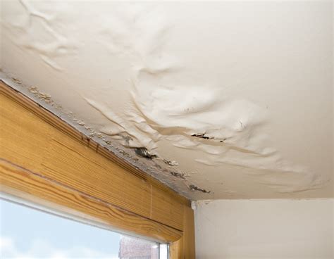 Roof Leak Insurance Claims United Claims Specialists