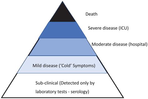 The Covid Pandemic Public Health And Epidemiology Colin Binns