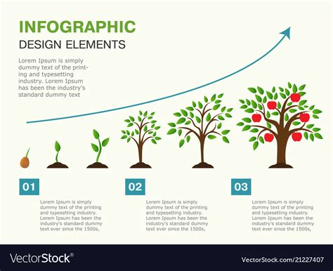 Infographic Of Planting Tree Seeds Sprout In Vector Image