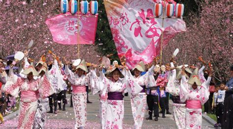 Where To See Cherry Blossom Outside Of Japan