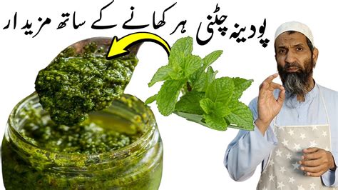 Mint Chutney Refreshing And Delicious Recipe You Cant Resist Youtube