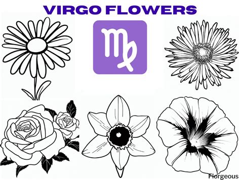 Virgo Birth Flower Embracing The Grace And Perfection Of Earths Bloom