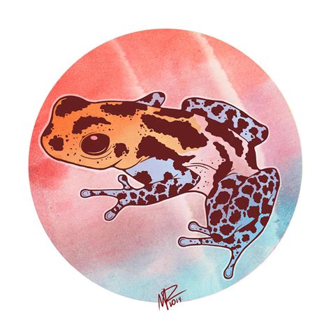 Tropical Frog By Linvorm On Deviantart