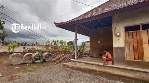 Enam Bulan Pasca Banjir Bandang Di Bilukpoh Jembrana Bali Kadek Budra