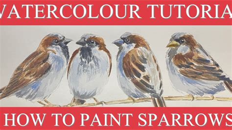 Watercolour Tutorial How To Paint Sparrows Youtube