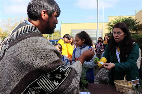 Cesfam Rural Santa Fe Celebr El D A Internacional De La Tierra Con