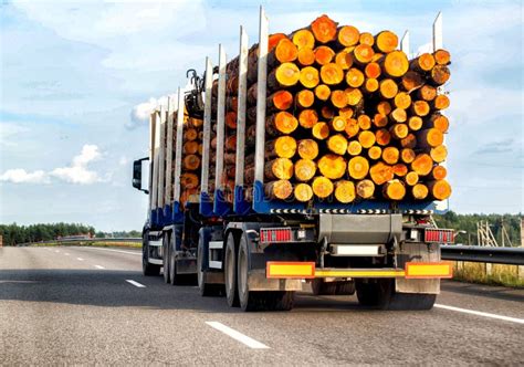 A Semi Trailer Truck Transports Logs From The Forest To A Wood Products