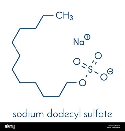 Sodium Dodecyl Sulfate Sds Natrium Lauryl Sulfat Tensid Molekül