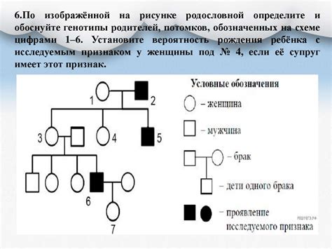Генетика человека. Генеалогический метод - презентация онлайн