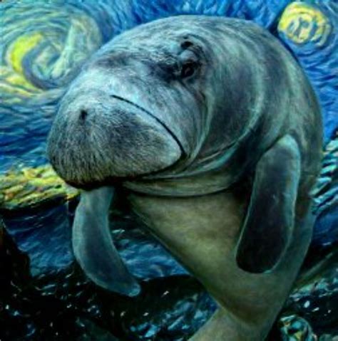 AI generated starry-night manatee : Manatees
