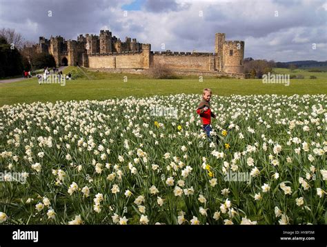 Alnwick Castle home of the Duke of Northumberland. The Percy family ...