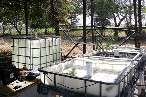 Costa Rica Experiments With Aquaponics To Fight Drought