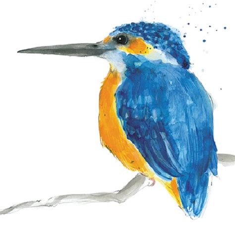 Kingfisher Animal Magic Square Art Greeting Card Blank Inside Love Kates